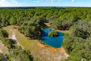 22506 Doc McDuffie Rd, Foley, AL 36535 - Photo 66