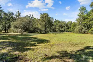 22506 Doc McDuffie Rd, Foley, AL 36535 - Photo 48