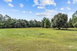 22506 Doc McDuffie Rd, Foley, AL 36535 - Photo 54