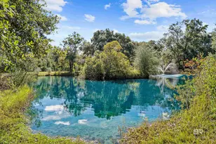 22506 Doc McDuffie Rd, Foley, AL 36535 - Photo 8