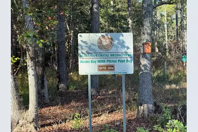 11842 Island Drive, Foley, AL 36535 - Photo 62