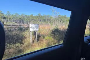 11842 Island Dr, Foley, AL 36535 - Photo 60