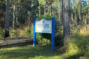 11842 Island Dr, Foley, AL 36535 - Photo 64