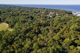 11 Woods Ave, Fairhope, AL 36532 - Photo 30