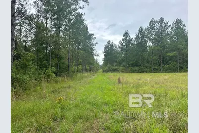 0 Dry Branch Lane, Robertsdale, AL 36567 - Photo 6
