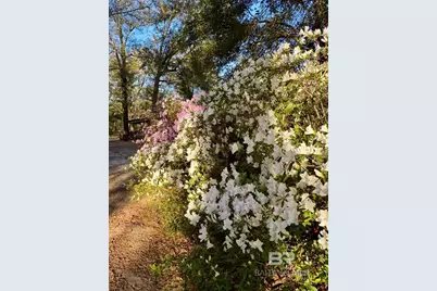 24250 N River Road, Daphne, AL 36526 - Photo 54