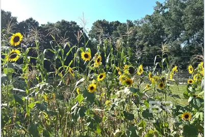 24250 N River Road, Daphne, AL 36526 - Photo 60