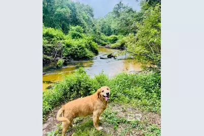 24250 N River Road, Daphne, AL 36526 - Photo 44