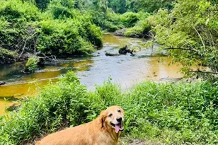 24250 N River Rd, Daphne, AL 36526 - Photo 44