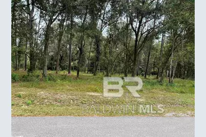 0 Highway 98, Foley, AL 36535 - Photo 1
