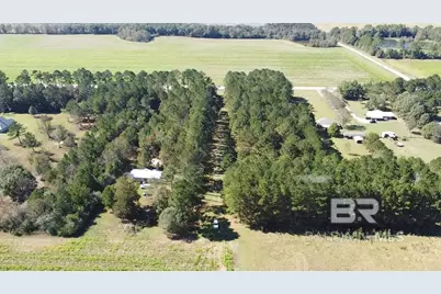 4900 Block Highway 97, Walnut Hill, FL 32568 - Photo 6