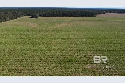 4900 Block Highway 97, Walnut Hill, FL 32568 - Photo 8