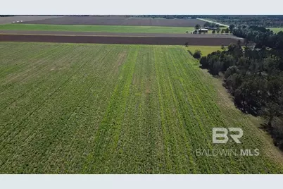 4900 Block Highway 97, Walnut Hill, FL 32568 - Photo 10
