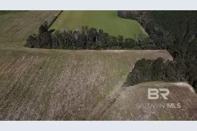 4900 Block Highway 97, Walnut Hill, FL 32568 - Photo 18