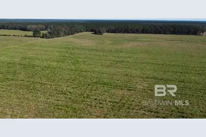 4900 Block Highway 97, Walnut Hill, FL 32568 - Photo 24