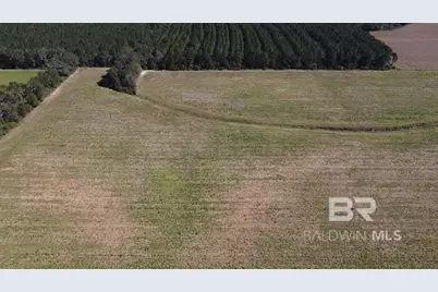 4900 Block Highway 97, Walnut Hill, FL 32568 - Photo 12