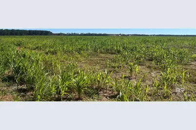 4900 Block Highway 97, Walnut Hill, FL 32568 - Photo 2