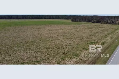 5600 Block Highway 97, Walnut Hill, FL 32568 - Photo 2
