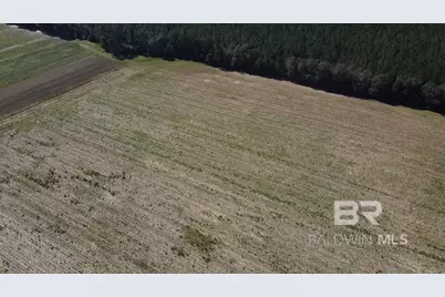 5600 Block Highway 97, Walnut Hill, FL 32568 - Photo 14