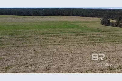 5600 Block Highway 97, Walnut Hill, FL 32568 - Photo 4