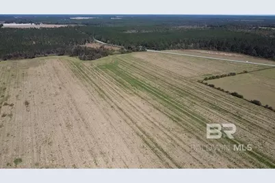 5600 Block Highway 97, Walnut Hill, FL 32568 - Photo 16