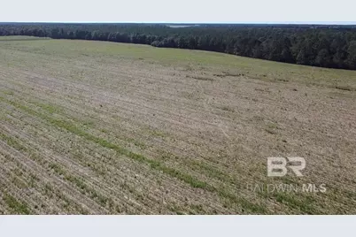 5600 Block Highway 97, Walnut Hill, FL 32568 - Photo 6