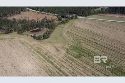 5600 Block Highway 97, Walnut Hill, FL 32568 - Photo 18