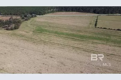 5600 Block Highway 97, Walnut Hill, FL 32568 - Photo 22