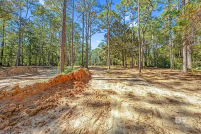 11010 Coleman Lane, Elberta, AL 36530 - Photo 12