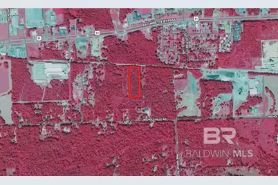 0 NW Nicholsville Road, Bay Minette, AL 36507 - Photo 8