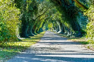 15810 Co Rd 73, Foley, AL 36535 - Photo 6