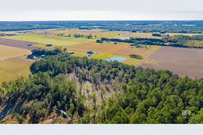 0 County Road 95, Elberta, AL 36530 - Photo 4