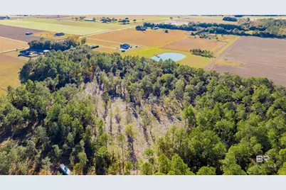 0 County Road 95, Elberta, AL 36530 - Photo 2