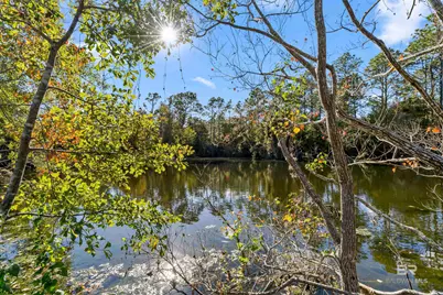 32771 Antietam Road, Lillian, AL 36549 - Photo 60