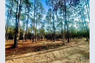 0 Bay Road, Foley, AL 36535 - Photo 4