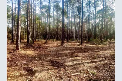 0 Bay Road, Foley, AL 36535 - Photo 2