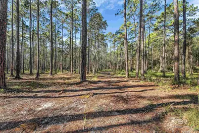 0 Bay Road, Foley, AL 36535 - Photo 8
