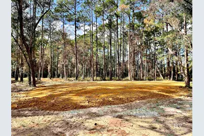 0 Bay Road, Foley, AL 36535 - Photo 1