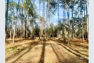 0 Bay Road, Foley, AL 36535 - Photo 18