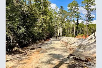 0 Bay Road, Foley, AL 36535 - Photo 10