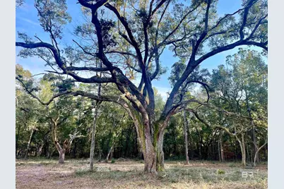 0 Bay Road, Foley, AL 36535 - Photo 1
