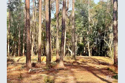 0 Bay Road, Foley, AL 36535 - Photo 16