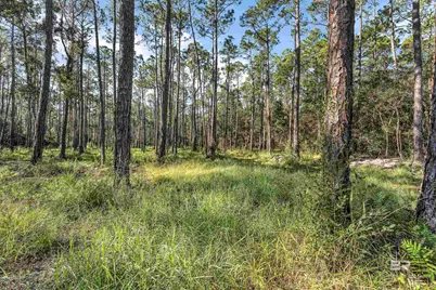 0 Bay Road, Foley, AL 36535 - Photo 22