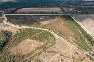 21990 Creekfront Dr, Robertsdale, AL 36567 - Photo 38