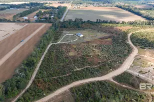 21990 Creekfront Dr, Robertsdale, AL 36567 - Photo 4