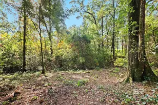 752 Evergreen St, Fairhope, AL 36532 - Photo 66