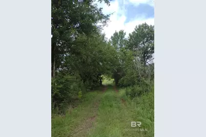 5 Gap Weekley Road, Perdido, AL 36562 - Photo 2