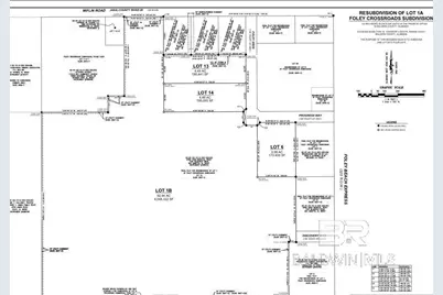 0 County Road 20, Foley, AL 36535 - Photo 2