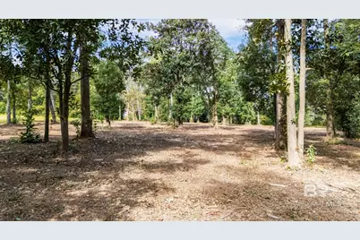 0 E Azalea Avenue, Foley, AL 36535 - Photo 20