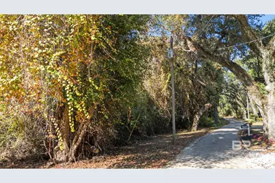 0 Wilson Lane, Fairhope, AL 36532 - Photo 2